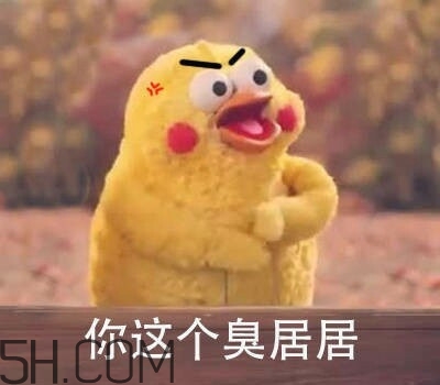 你個臭居居什么意思？你個臭居居表情包