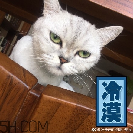 你個臭居居什么意思？你個臭居居表情包