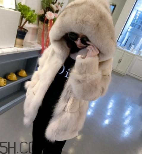 獺兔毛和狐貍毛哪個(gè)好？獺兔毛和狐貍毛區(qū)別