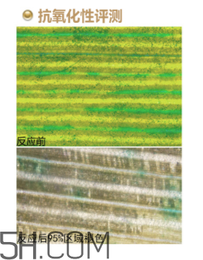 歐珀萊恒久肌底循環(huán)精華露加強(qiáng)型多少錢(qián)_適合年齡