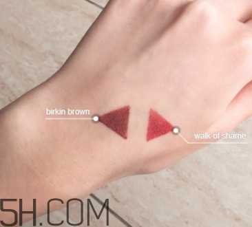 豬肝色口紅哪個牌子好？豬肝色口紅推薦