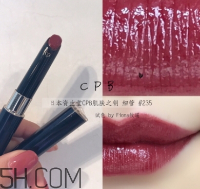 豬肝色口紅哪個牌子好？豬肝色口紅推薦