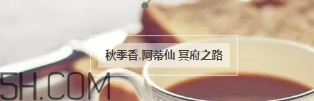 冬天適合什么香水？適合冬天的小眾香型香水推薦