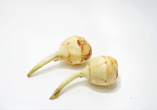 慈菇是發(fā)物嗎？慈菇是馬蹄嗎