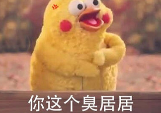你個臭居居什么意思？你個臭居居表情包