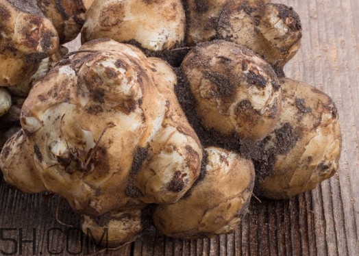 洋姜能治糖尿病嗎？洋姜什么時候收獲