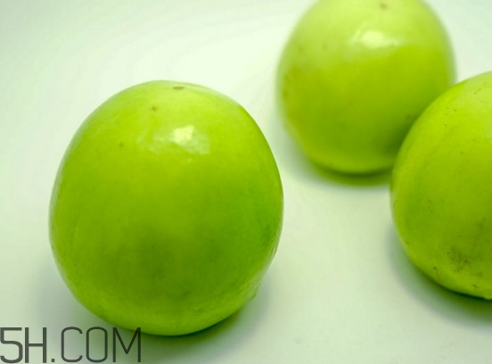 青棗核可以種嗎？青棗種植方法及管理