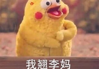 翹李媽什么意思？我翹李媽表情包
