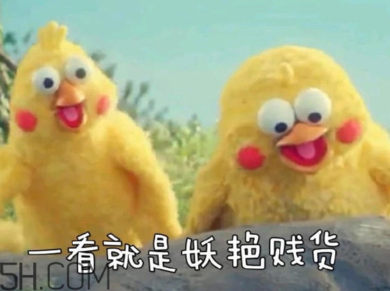 你們都是臭襪子什么意思？你們都是臭襪子表情包