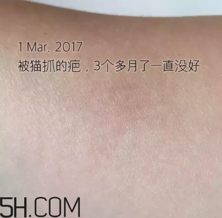 海藍之謎pk深海四十噚最全測評 面霜哪家好？