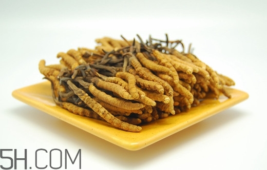 冬蟲夏草可以人工種植嗎？冬蟲夏草可不可以放在冰箱里