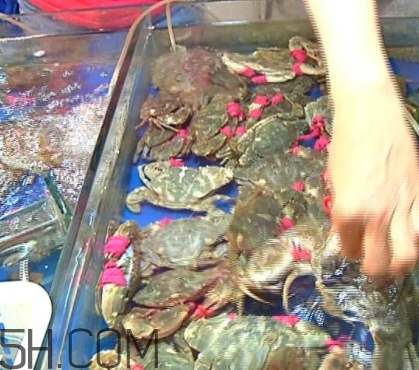 花蓋蟹和梭子蟹哪個(gè)好吃？花蓋蟹和梭子蟹區(qū)別