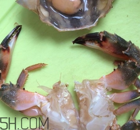 花蓋蟹和梭子蟹哪個(gè)好吃？花蓋蟹和梭子蟹區(qū)別