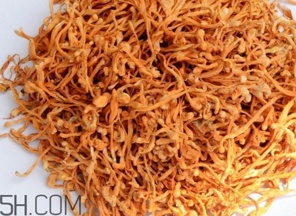 冬蟲夏草哪里的最好？冬蟲夏草和蟲草花的區(qū)別