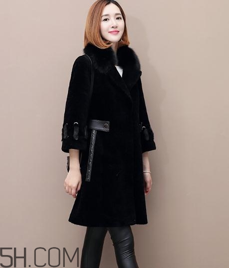 水貂和貂哪個(gè)好？貂皮和水貂有什么區(qū)別？