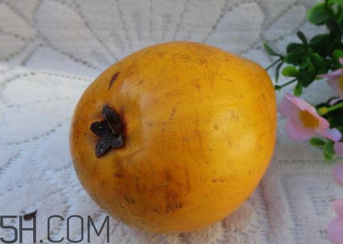 蛋黃果是熱性還是涼性 蛋黃果屬熱還是涼性 蛋黃果是熱性還是涼性 蛋黃果屬熱還是涼性