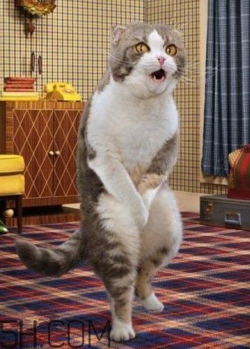 尿頻尿急是怎么回事？尿頻是尿毒癥嗎？