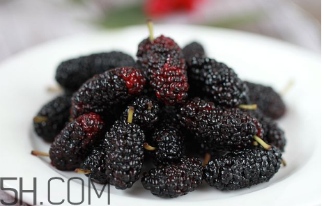 純牛奶熱著喝還是常溫喝？桑葚能和牛奶一起吃嗎？