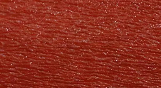 wet n wild濕又野口紅真人試色 wet n wild濕又野口紅真人試色