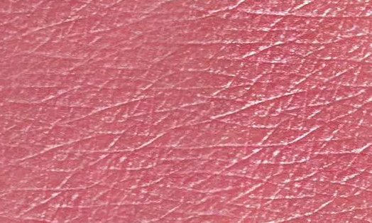 wet n wild濕又野口紅真人試色 wet n wild濕又野口紅真人試色