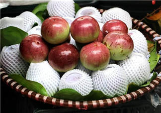 牛奶果是什么？牛奶果孕婦可以吃嗎？