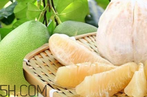 文旦柚多少錢一斤？文旦柚是寒性食物嗎