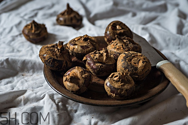 荸薺和梨子可以一起煮嗎 荸薺和梨子能同吃嗎 荸薺和梨子可以一起煮嗎 荸薺和梨子能同吃嗎