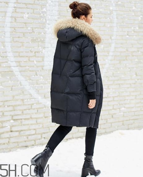 貉子毛和狐貍毛哪個好？貉子毛和狐貍毛的區(qū)別