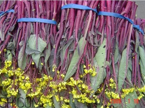 洪山菜苔多少錢(qián)一斤？紅菜苔多少錢(qián)一斤