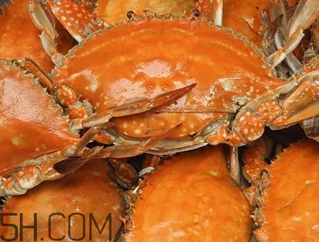 海虹蟹和梭子蟹哪個(gè)好？海虹蟹和梭子蟹的區(qū)別