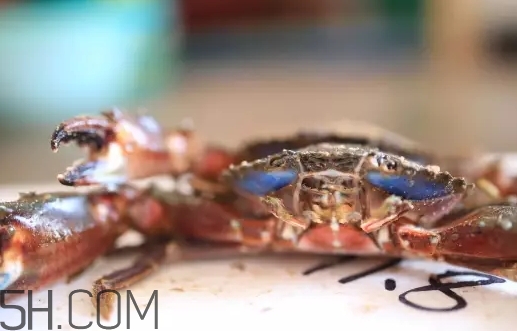 海虹蟹蒸多久才可以熟？海虹蟹蒸多長時間