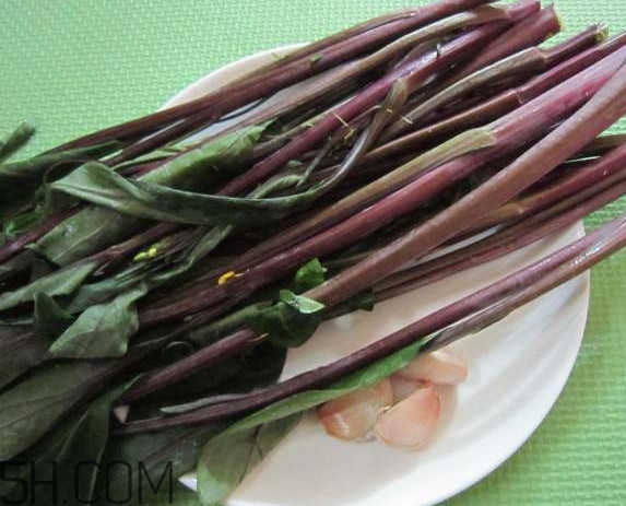 紅菜苔為什么炒出來的汁是藍色的？紅菜苔是什么菜