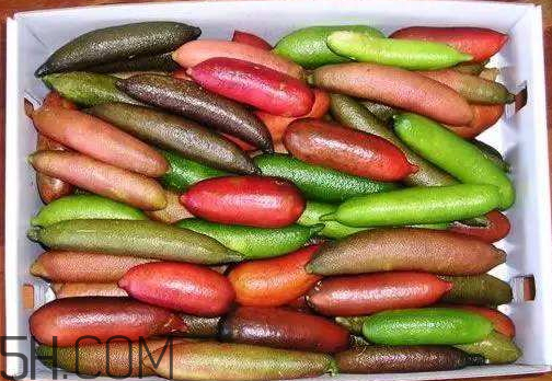 指橙中國哪里有 指橙種植條件 指橙中國哪里有 指橙種植條件