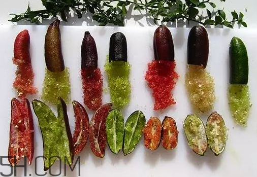 指橙中國哪里有 指橙種植條件 指橙中國哪里有 指橙種植條件