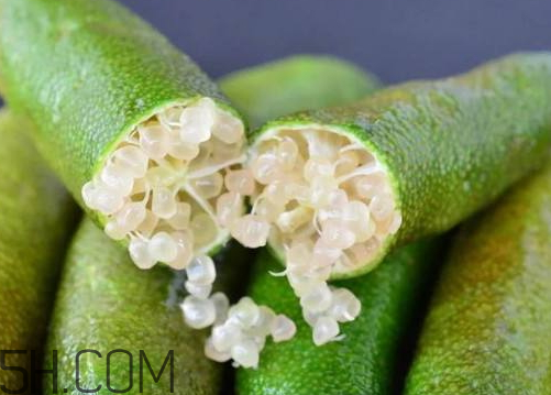 指橙中國哪里有 指橙種植條件 指橙中國哪里有 指橙種植條件