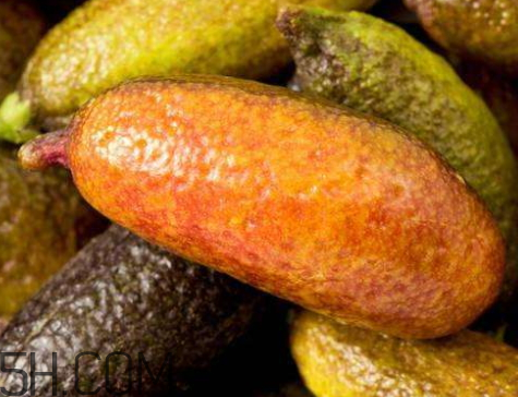 指橙怎么吃 指橙有什么功效 指橙怎么吃 指橙有什么功效