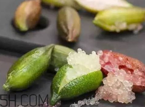 指橙怎么吃 指橙有什么功效 指橙怎么吃 指橙有什么功效