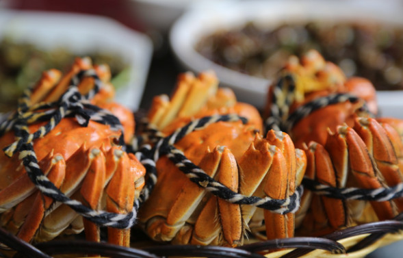 陽(yáng)澄湖大閘蟹幾月份上市？陽(yáng)澄湖大閘蟹哪家正宗