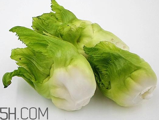 兒菜為什么叫兒菜？兒菜什么季節(jié)吃的