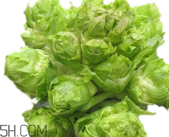 青菜頭是不是兒菜？大頭菜和兒菜的區(qū)別