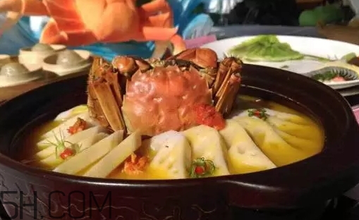 冬蟹和梭子蟹的區(qū)別 冬蟹和梭子蟹哪個(gè)好吃 冬蟹和梭子蟹的區(qū)別 冬蟹和梭子蟹哪個(gè)好吃