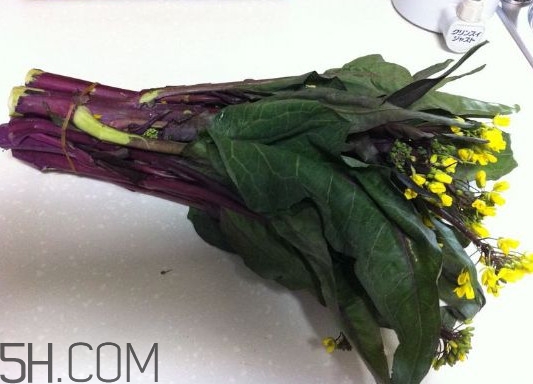 紅菜苔不能與什么菜一起吃？紅菜苔與白菜苔之間的差別