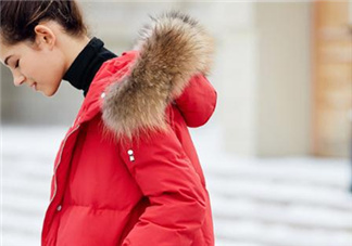 貉子毛和狐貍毛哪個好？貉子毛和狐貍毛的區(qū)別