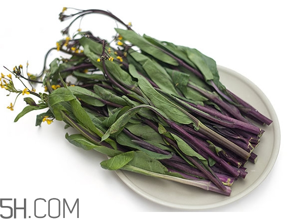 紅菜苔為什么炒出來的汁是藍色的？紅菜苔是什么菜