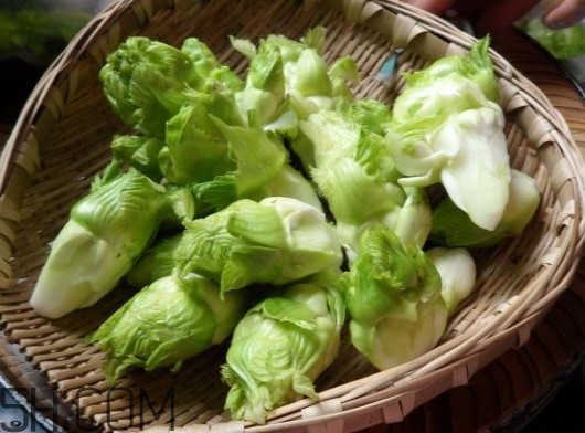 兒菜為什么叫兒菜？兒菜什么季節(jié)吃的