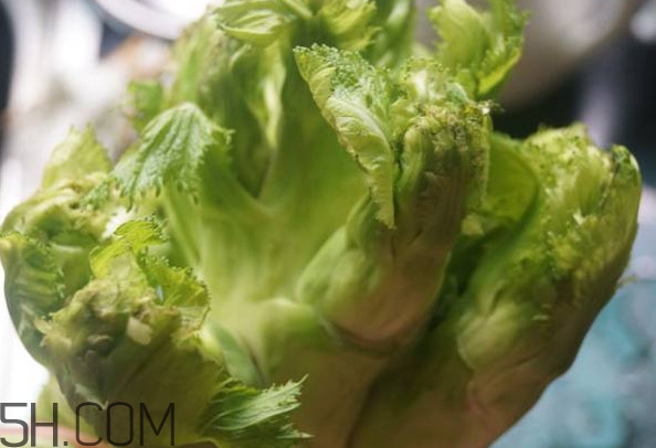 兒菜為什么叫兒菜？兒菜什么季節(jié)吃的