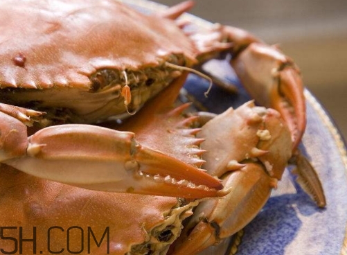 冬蟹怎么做？冬蟹的做法大全