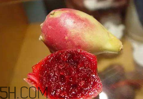 仙人掌果什么味道 仙人掌果可以直接吃嗎 仙人掌果什么味道 仙人掌果可以直接吃嗎