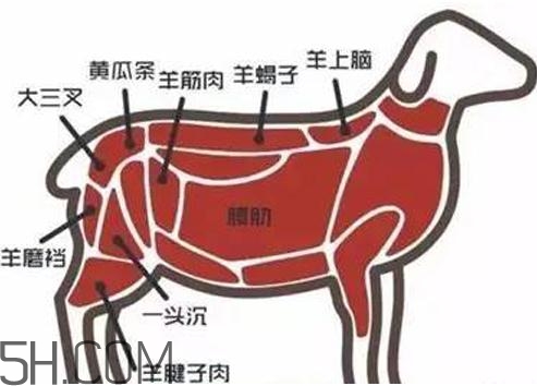 涮羊肉哪個部位最好吃？涮羊肉都有什么菜？