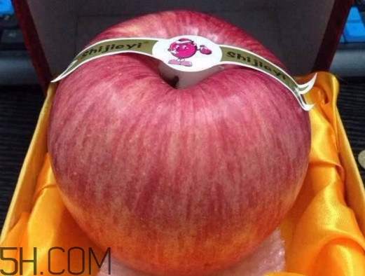 世界一號蘋果多少錢？世界一號蘋果好吃嗎